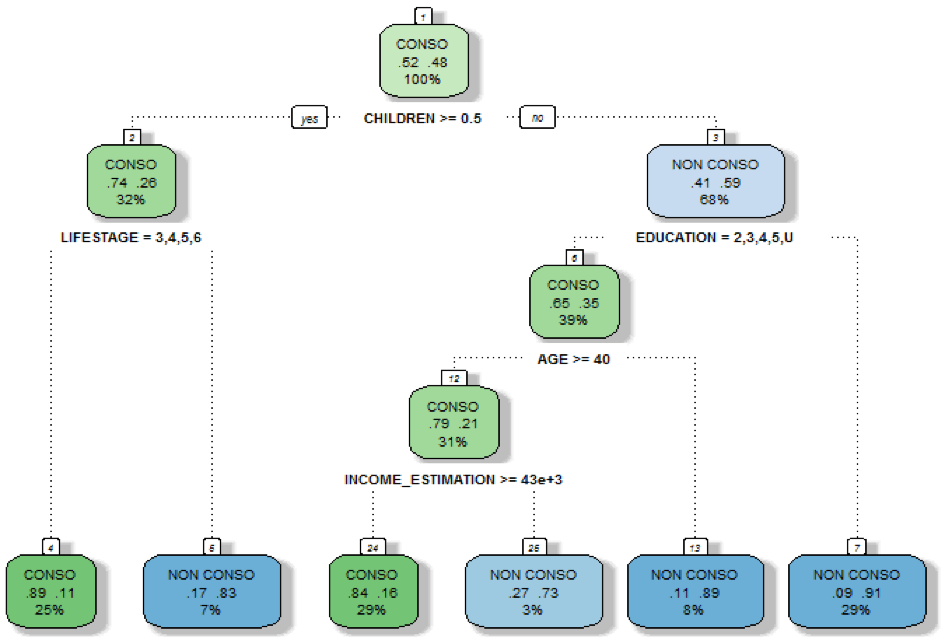 image-arbre-classification